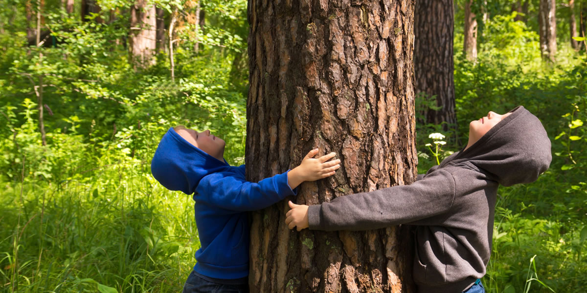 Children Hugging a Tree