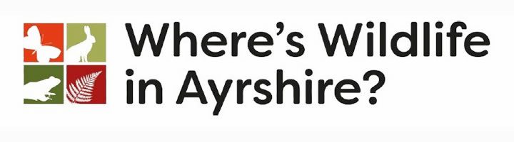 Where’s Wildlife in Ayrshire Logo